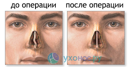 5534873878282