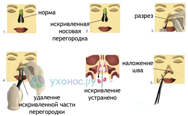 8877656565