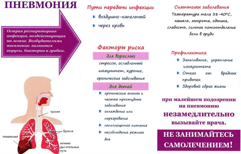 Основные симптомы и факторы риска при пневмонии Пневмония