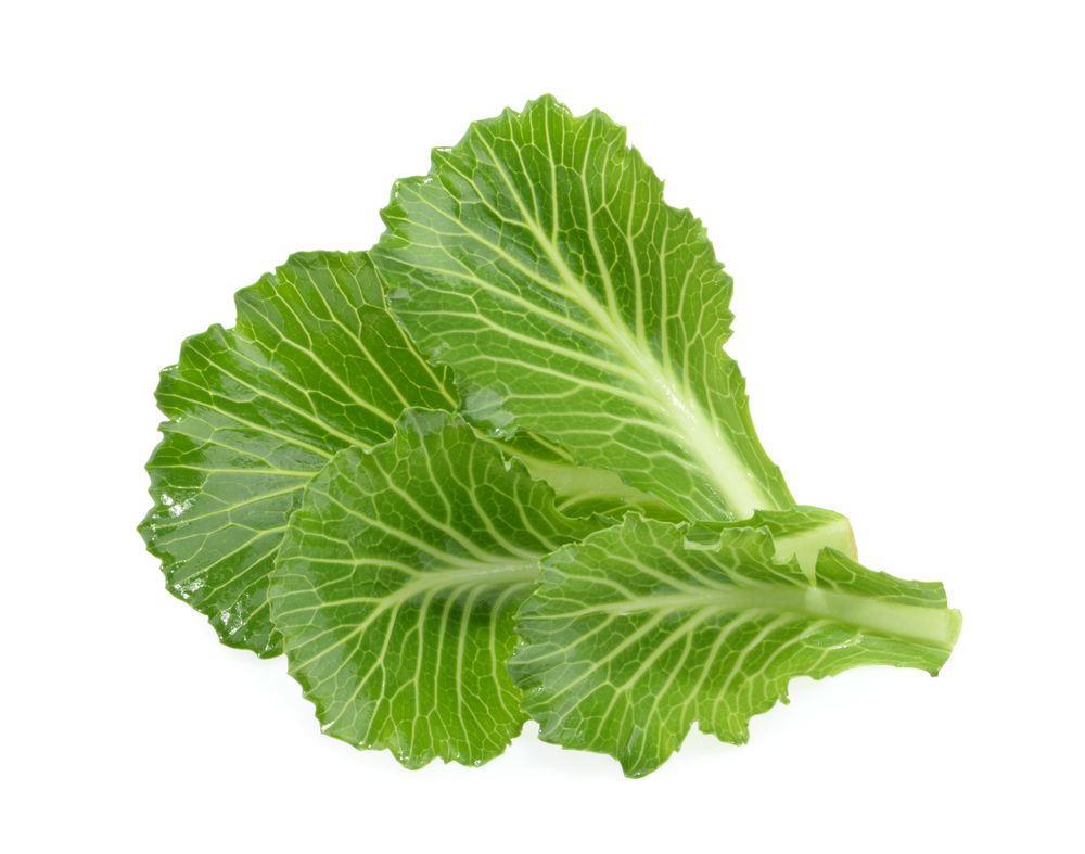Продуло болит спина лечение