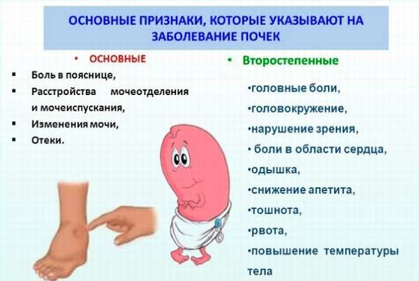 Если отекают ноги и болит спина